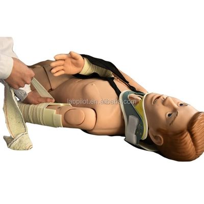 의학적 교육 외부 고정 훈련 인형 팔다리 골절의 첫 번째 도움