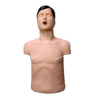 PVC 성인 호흡기 장애 첫 진료 훈련 질식 훈련용 인형