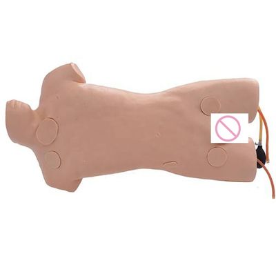 고급 PVC 인체 관리 훈련 인형 외부 정맥 펀처 시뮬레이션