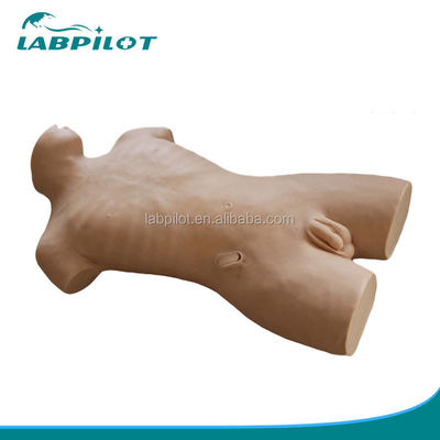 건강 관리에서 중앙 정맥 절단 훈련을위한 인간 생명 크기의 생생한 상처 인형