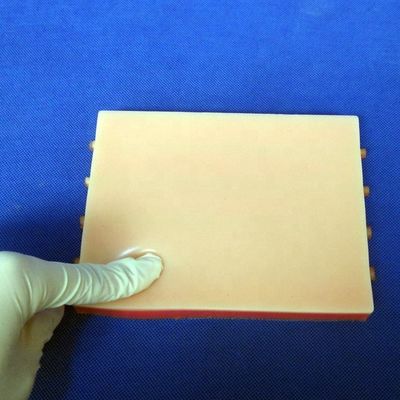IV 주사 훈련 시범 의료 교육 시뮬레이터 생생한 피부 모델