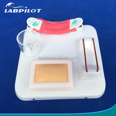 고급 PVC 다기능 수술 기술 훈련 모델
