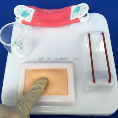 고급 PVC 다기능 수술 기술 훈련 모델