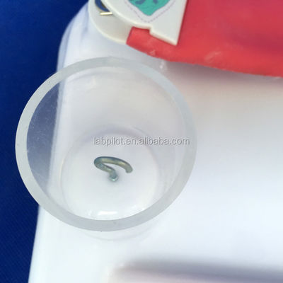 고급 PVC 다기능 수술 기술 훈련 모델