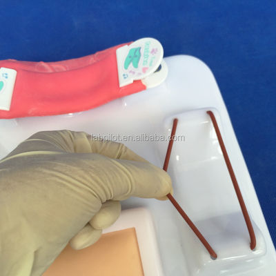 고급 PVC 다기능 수술 기술 훈련 모델