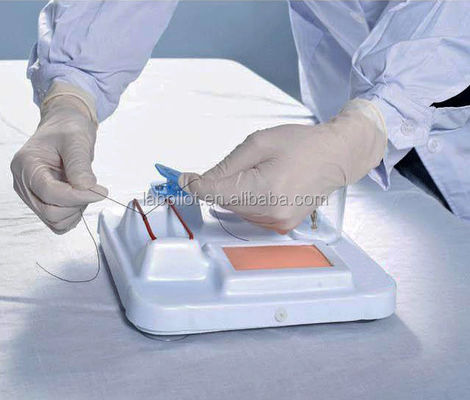 고급 PVC 다기능 수술 기술 훈련 모델