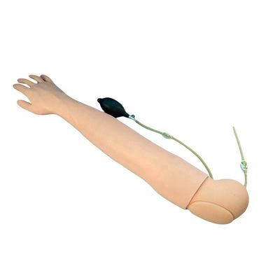 의학 교육 시뮬레이터 혈액 채취 및 투여 연습을 위한 인간 생명 크기 팔
