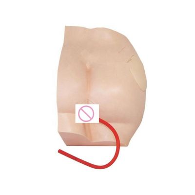 고급 PVC 인트라 근육 주입 교육 시뮬레이터 의학 과학 과목
