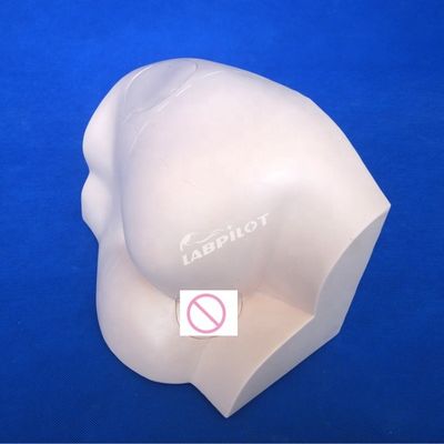 고급 PVC 인트라 근육 주입 교육 시뮬레이터 의학 과학 과목
