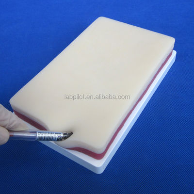 마니킨 인적 생명 크기 피부 지방 및 근육 훈련 모델을위한 3 층 꿰매기 연습 패드