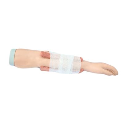 첨단 PVC 외상 첫 번째 도움 인형 의학적 과학 forearm 골절 치료