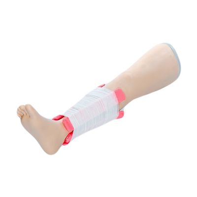 첨단 PVC 외상 첫 번째 도움 인형 의학적 과학 forearm 골절 치료