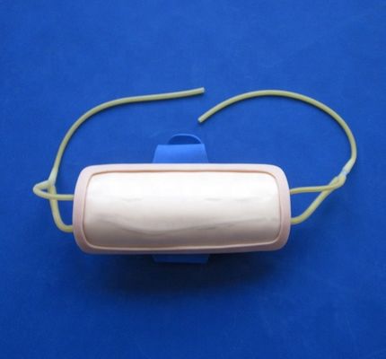 첨단 PVC 앞팔 진종 훈련 패드 IV 의학 과학용 주사 패드