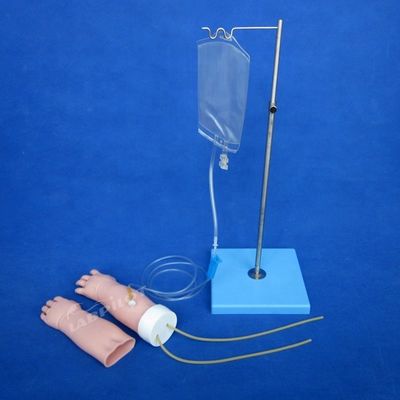 의학과학 과목 휴대용 정맥 절단 훈련 팔 모델