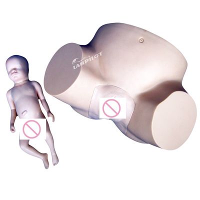 학교 진공 출산 출산 시뮬레이터 부드러운 아기 인형과 인간 크기