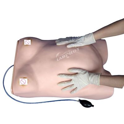 첨단 PVC 산모 간호 관리 인형 산모 촉감 훈련에 필수