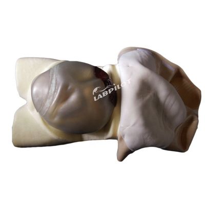 첨단 PVC 산모 간호 관리 인형 산모 촉감 훈련에 필수