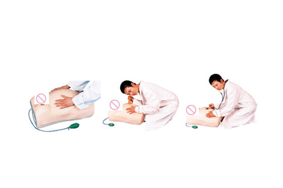 첨단 PVC 산모 간호 관리 인형 산모 촉감 훈련에 필수