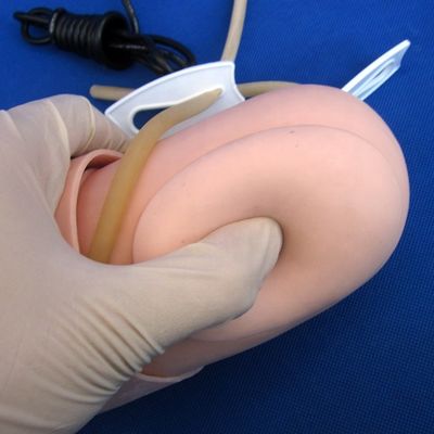 동맥 혈압 측정 훈련 팔 모델 카테고리 교육용 인형