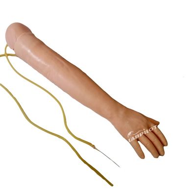 의학적 과학 진맥 절제 및 IM 주사 훈련 팔 모델 피부를 절약