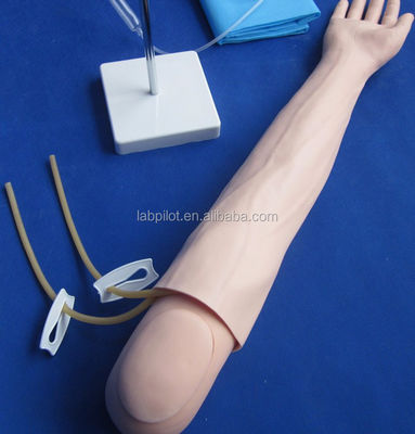 의학적 과학 진맥 절제 및 IM 주사 훈련 팔 모델 피부를 절약