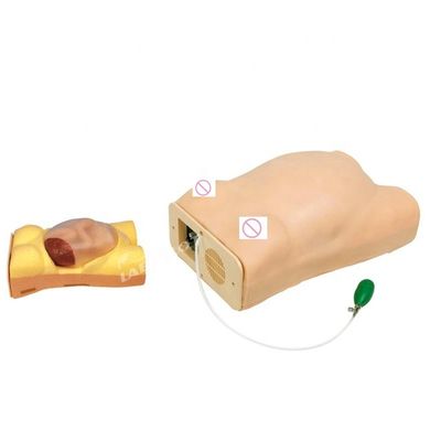 인간 생체 크기 임신 마니킨 오스쿨테이션 의료 과학 교육 시뮬레이터