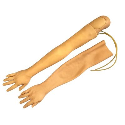 IV 주입 훈련의 생동감 있는 팔 모델 다기능 임상 간호 훈련 모델