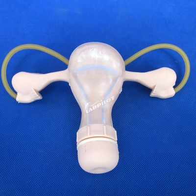 피처리 기능이 있는 PVC 발작 여의학적 검사 훈련 인형