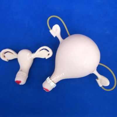 피처리 기능이 있는 PVC 발작 여의학적 검사 훈련 인형