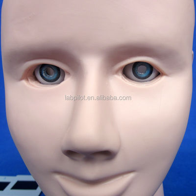 PVC 눈 검사 인간 생명 크기 funduscopic 검사 교육 모델