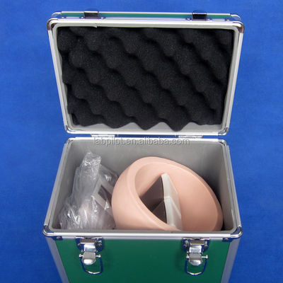 PVC 눈 검사 인간 생명 크기 funduscopic 검사 교육 모델