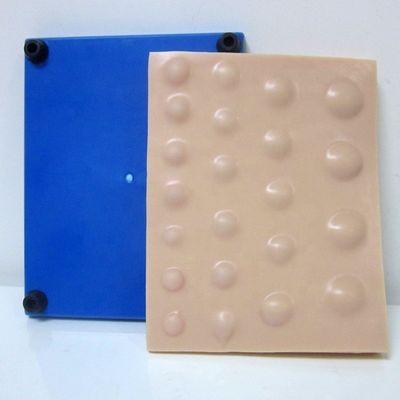 2023년 배설물 절단 및 배수 기술 교육에 필요한 고급 PVC 절단 모델