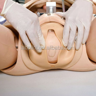 출산 응급 치료 및 간호를 위한 고급 PVC 산부인과 기술 교육 시스템