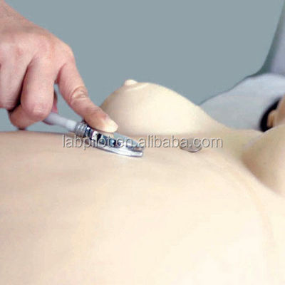 출산 응급 치료 및 간호를 위한 고급 PVC 산부인과 기술 교육 시스템