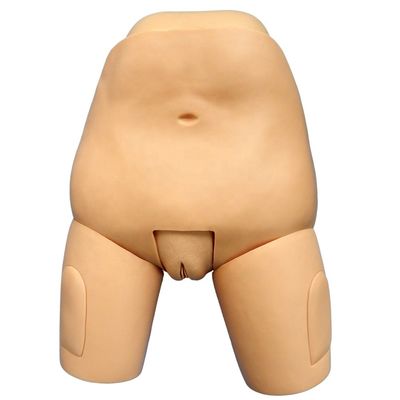출산 후 마니킨 간호 시뮬레이터 자궁 검사 의학 과학 기금