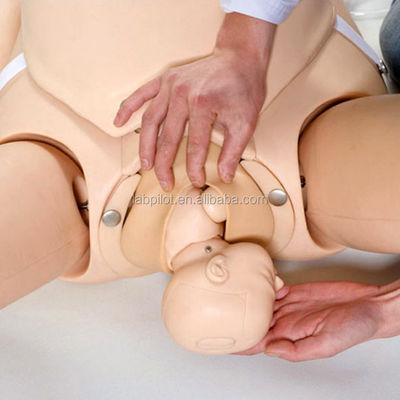 환자 돌봄 시범을 위한 모성 및 신생아 출산 비상 시뮬레이터