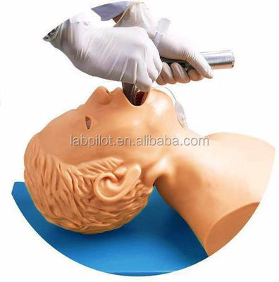 긴급 기술 교육 항목 전자 모니터와 인튜베이션 훈련 시뮬레이터