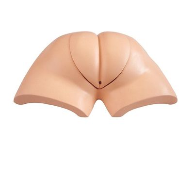 포괄적 인 간호 기술 훈련을위한 착용 가능한 인공 배설 시뮬레이터