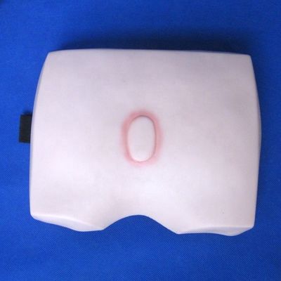 임상 간호 교육 모델 치매 궤양의 단계 병원 간호