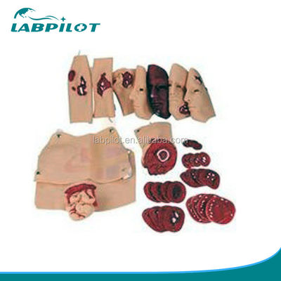 고급 PVC 외상 시뮬레이션 키트로 상처의 응급처치 훈련 관리를 업그레이드하세요