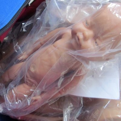 레오폴드 기동 및 산부인과 프로그램에서 출산 기술 훈련을위한 인형