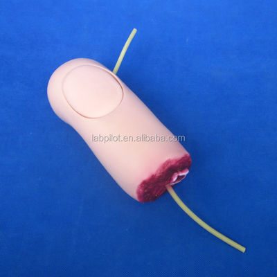 의학 과학을 위한 첨단 PVC 상위 다리 외상 출혈 및 절단 팔 모델