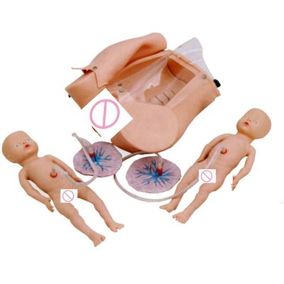레오폴드 기동 및 산부인과 프로그램에서 출산 기술 훈련을위한 인형