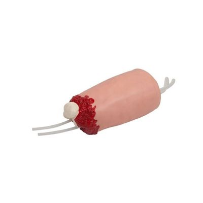 인간 생명 크기 하부 다리 외상 클리닉 간호 훈련 모델