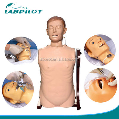 호흡기 관절 관리 및 위장 관절 관절 관절 관절 관절 관절 관절