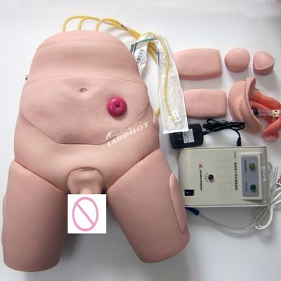 간호 기술에 대한 전자 모니터 요도관 카테테리제이션 훈련 시뮬레이터