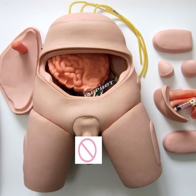 간호 기술에 대한 전자 모니터 요도관 카테테리제이션 훈련 시뮬레이터