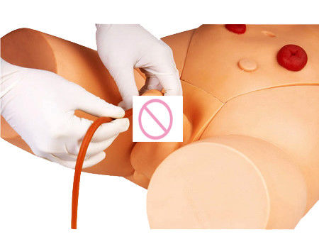 간호 기술에 대한 전자 모니터 요도관 카테테리제이션 훈련 시뮬레이터