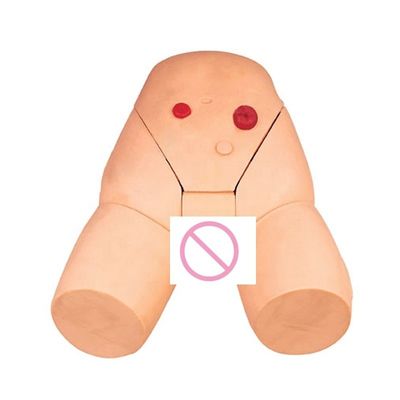 여성 카테테리제 기술 개발을 위한 근육 내 주입 훈련 모델