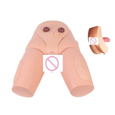 여성 카테테리제 기술 개발을 위한 근육 내 주입 훈련 모델